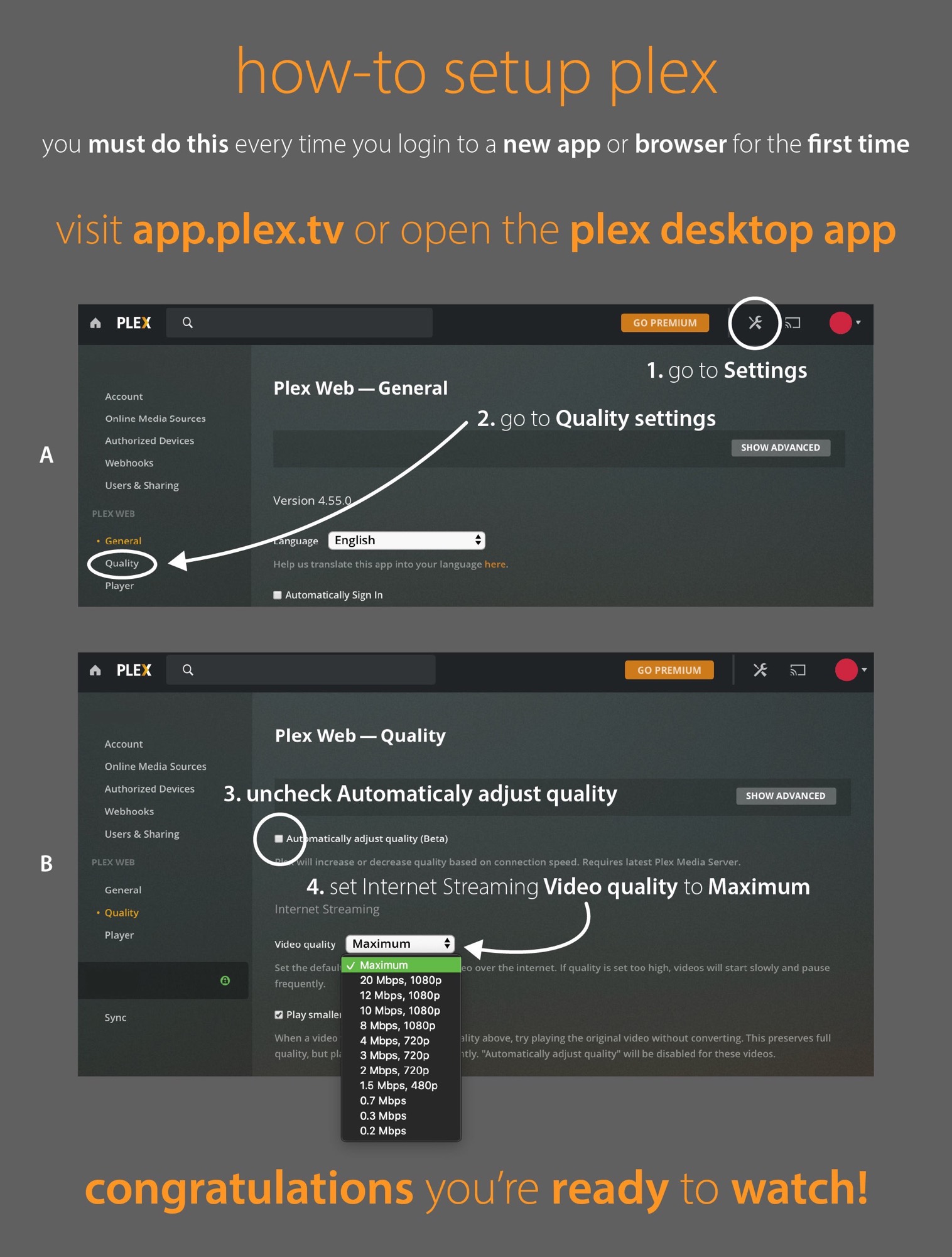 Plex for Web or Plex Media Player for Windows/macOS
